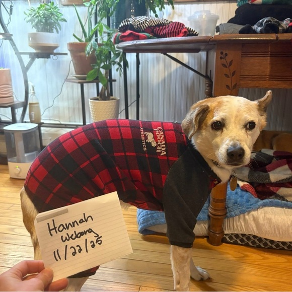 Canada Pooch Red Plaid Dog Onesie - Picture 4 of 4